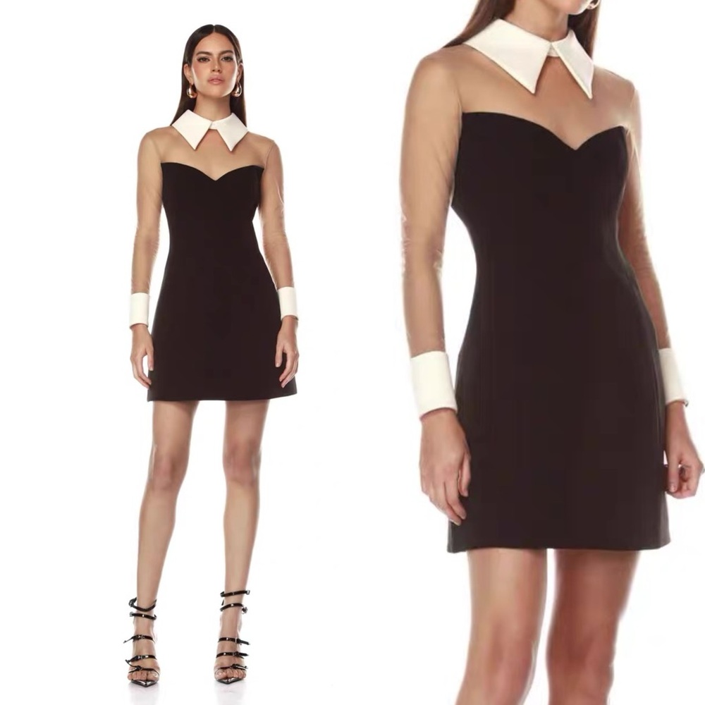 Bronx and Banco Wednesday Mesh Mini Dress in Black & White